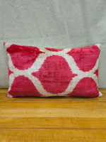 Velvet Pillow ( 30 x 50 cm )