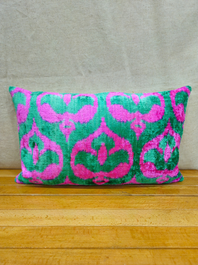 Velvet Pillow ( 30 x 50 cm )