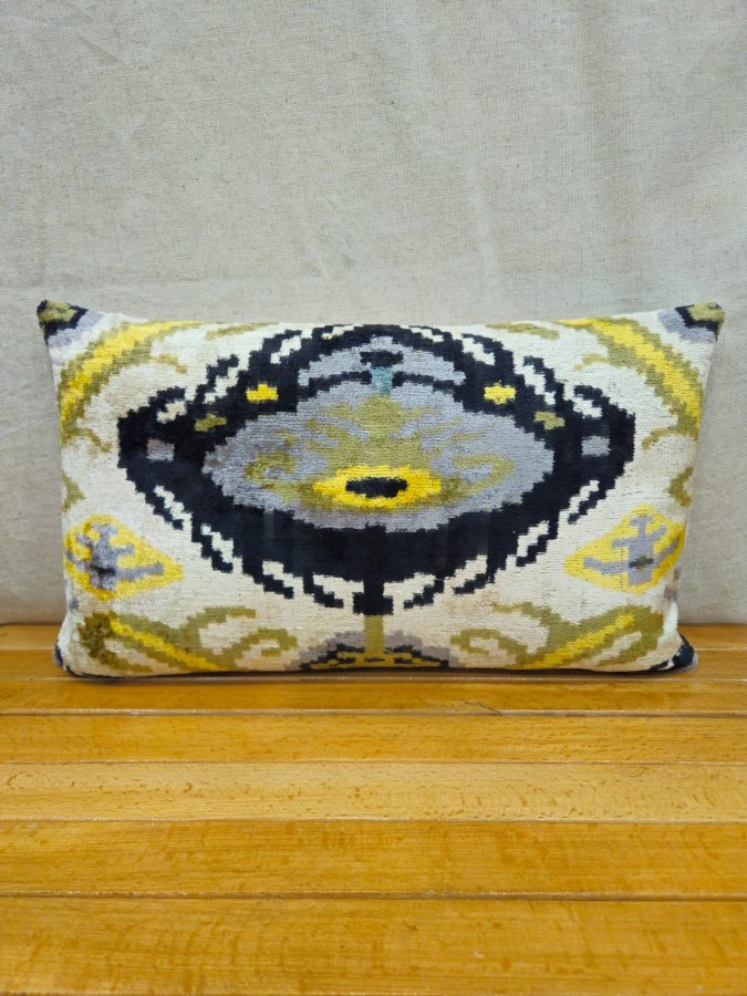 Velvet Pillow ( 30 x 50 cm )