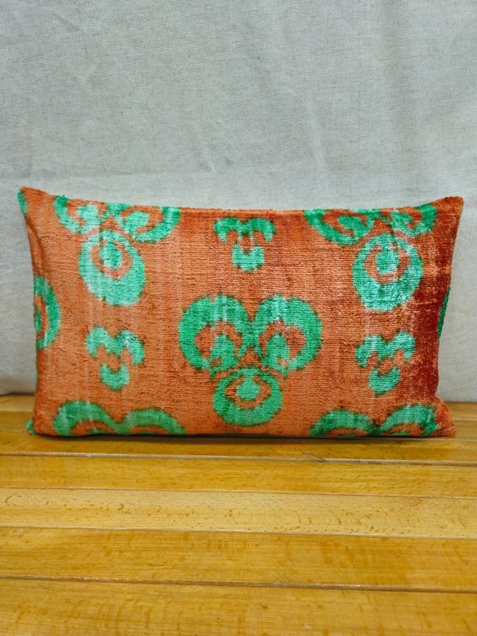 Velvet Pillow ( 30 x 50 cm )