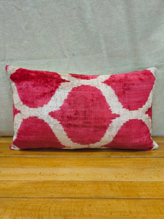 Velvet Pillow ( 30 x 50 cm )