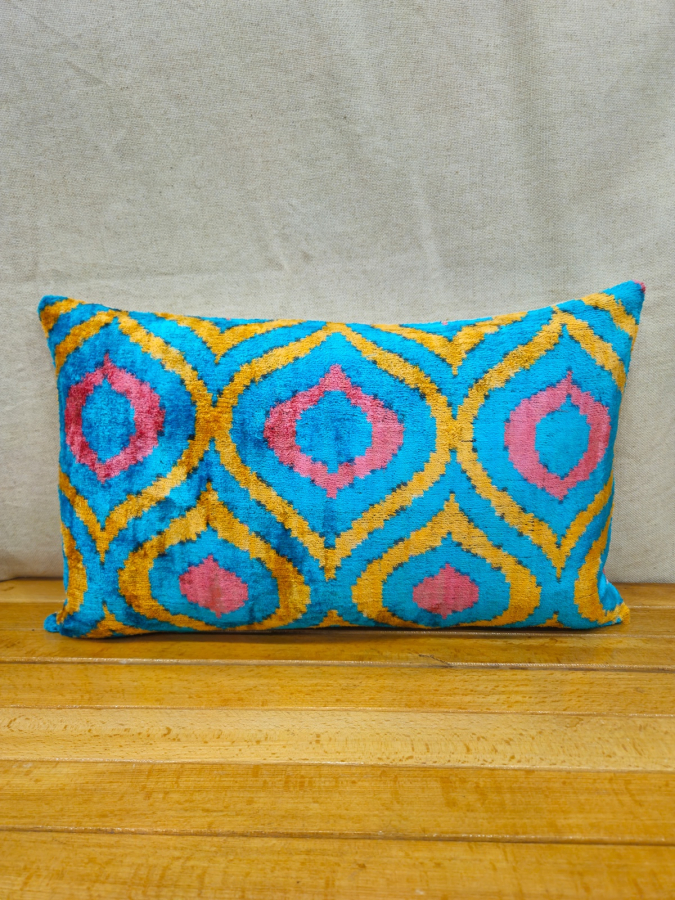 Velvet Pillow ( 30 x 50 cm )